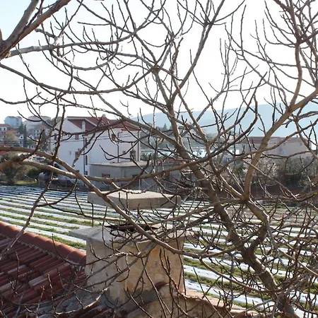 Family-friendly With Swimming Pool Seget Vranjica, - 7559